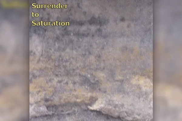 Album cover art for Surrender to Saturation (2008)